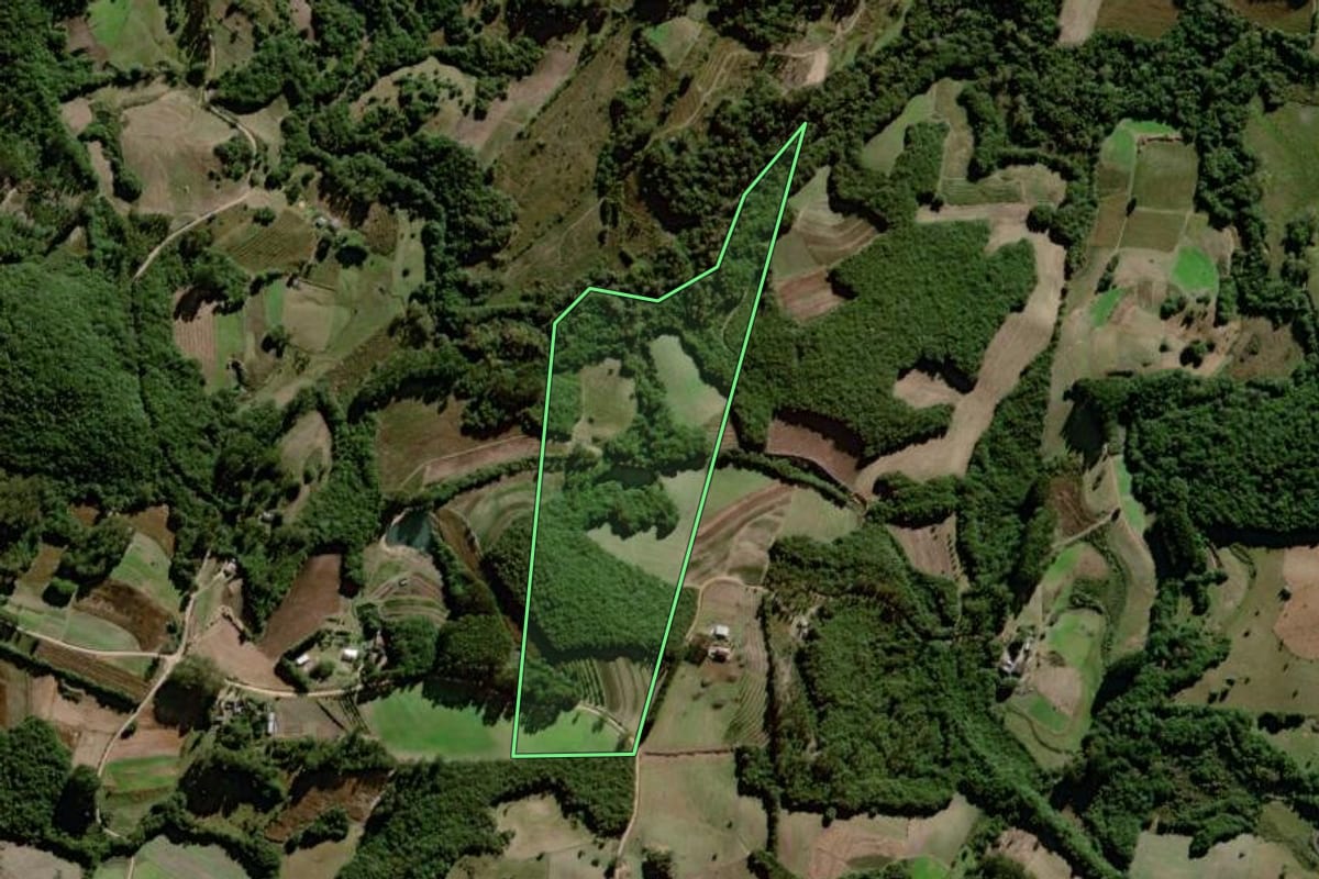 Imagem de satélite do imóvel rural em Canguçu (RS), com o contorno declarado no CAR desenhado por cima.