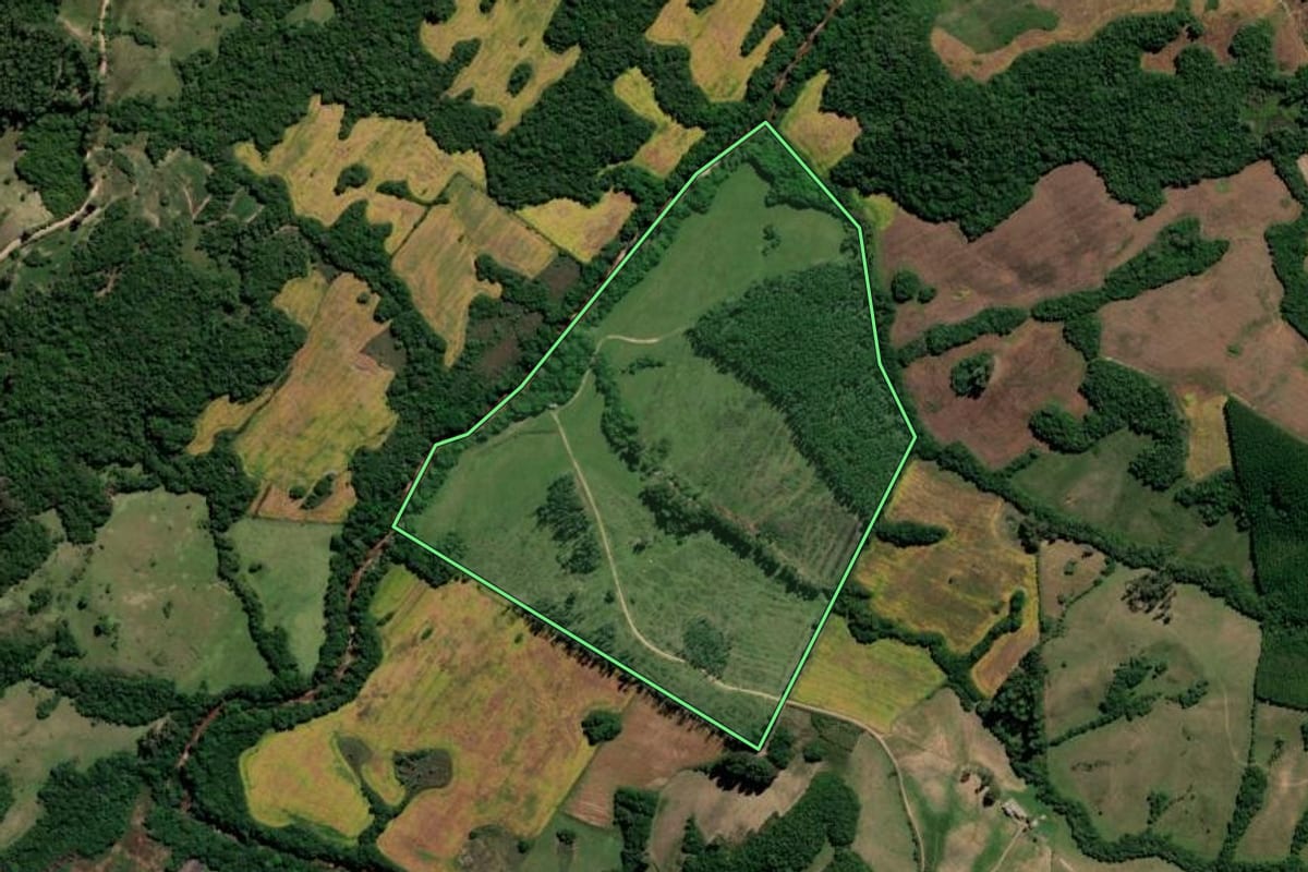Imagem de satélite do imóvel rural em Canguçu (RS), com o contorno declarado no CAR desenhado por cima.