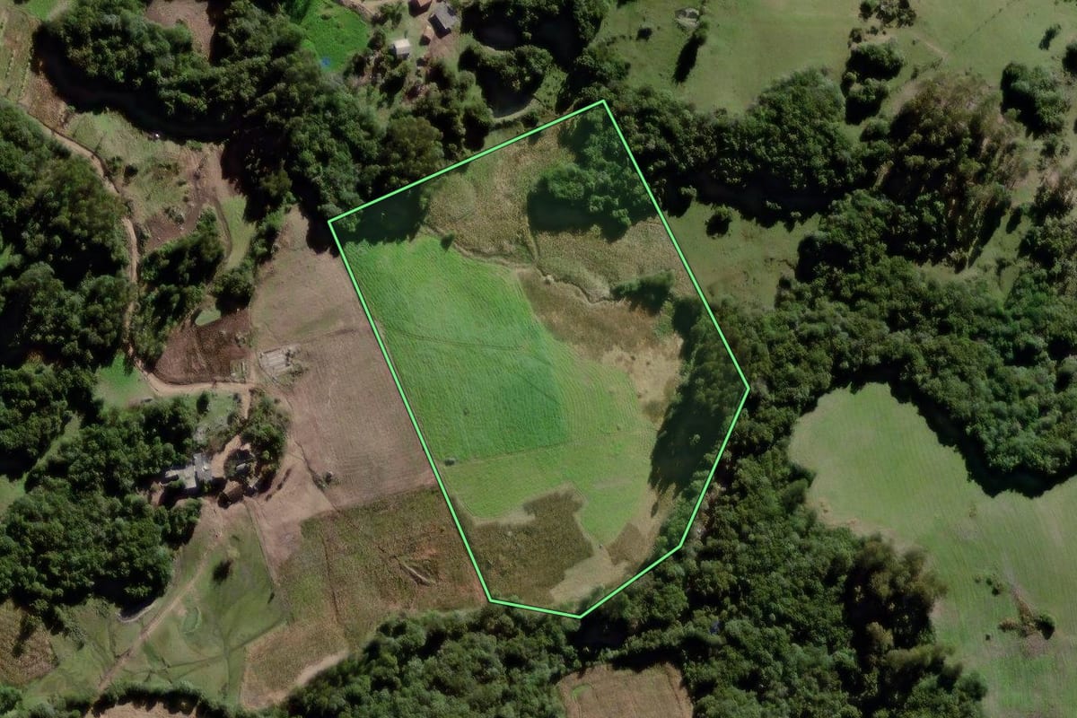 Imagem de satélite do imóvel rural em Canguçu (RS), com o contorno declarado no CAR desenhado por cima.