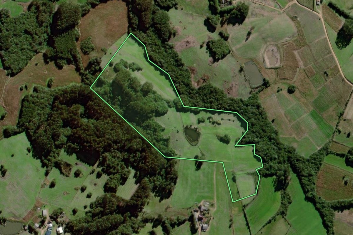 Imagem de satélite do imóvel rural em Canguçu (RS), com o contorno declarado no CAR desenhado por cima.