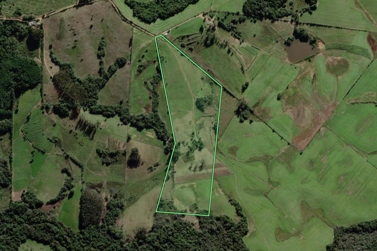Imagem de satélite do imóvel rural em Canguçu (RS), com o contorno declarado no CAR desenhado por cima.