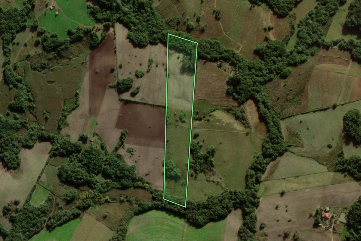 Imagem de satélite do imóvel rural em Canguçu (RS), com o contorno declarado no CAR desenhado por cima.