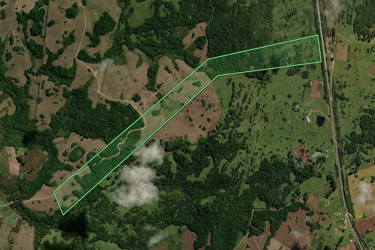 Imagem de satélite do imóvel rural em Canguçu (RS), com o contorno declarado no CAR desenhado por cima.