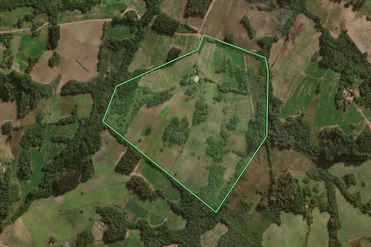 Imagem de satélite do imóvel rural em Canguçu (RS), com o contorno declarado no CAR desenhado por cima.