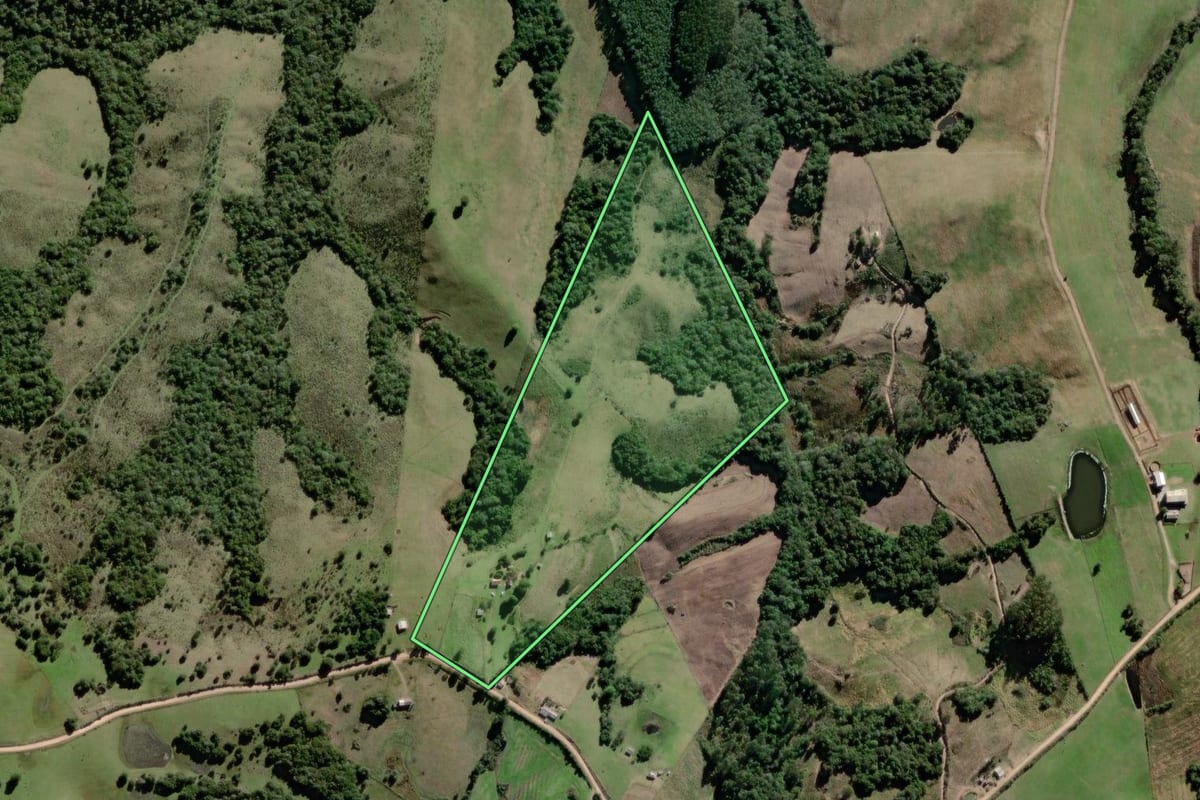 Imagem de satélite do imóvel rural em Canguçu (RS), com o contorno declarado no CAR desenhado por cima.