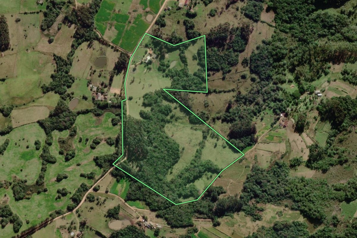 Imagem de satélite do imóvel rural em Canguçu (RS), com o contorno declarado no CAR desenhado por cima.
