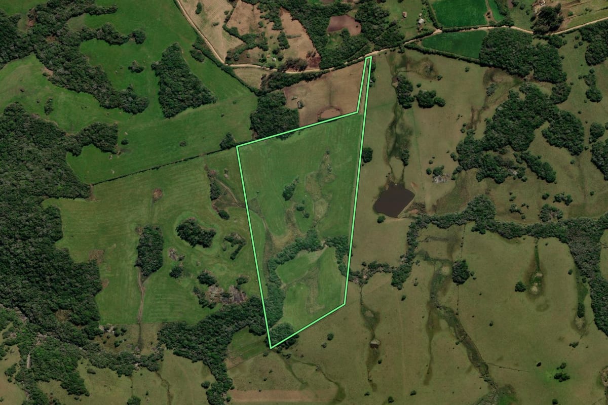 Imagem de satélite do imóvel rural em Canguçu (RS), com o contorno declarado no CAR desenhado por cima.