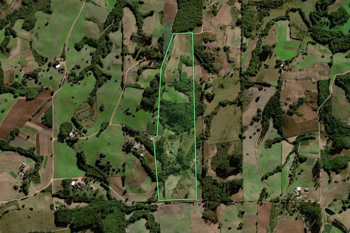 Imagem de satélite do imóvel rural em Canguçu (RS), com o contorno declarado no CAR desenhado por cima.