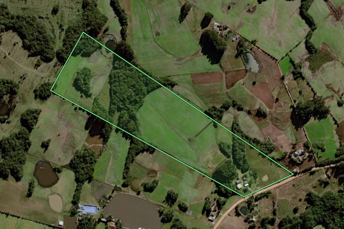 Imagem de satélite do imóvel rural em Canguçu (RS), com o contorno declarado no CAR desenhado por cima.