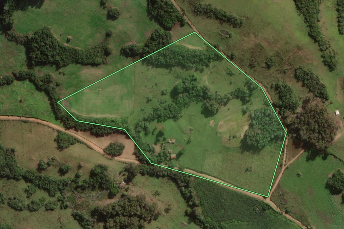 Imagem de satélite do imóvel rural em Canguçu (RS), com o contorno declarado no CAR desenhado por cima.