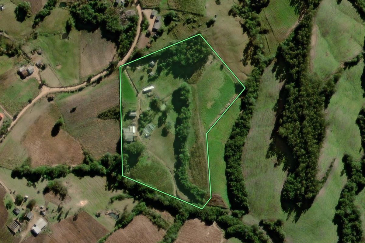 Imagem de satélite do imóvel rural em Canguçu (RS), com o contorno declarado no CAR desenhado por cima.
