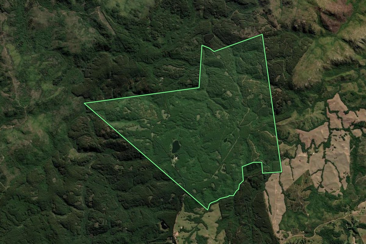 Imagem de satélite do imóvel rural em Canguçu (RS), com o contorno declarado no CAR desenhado por cima.