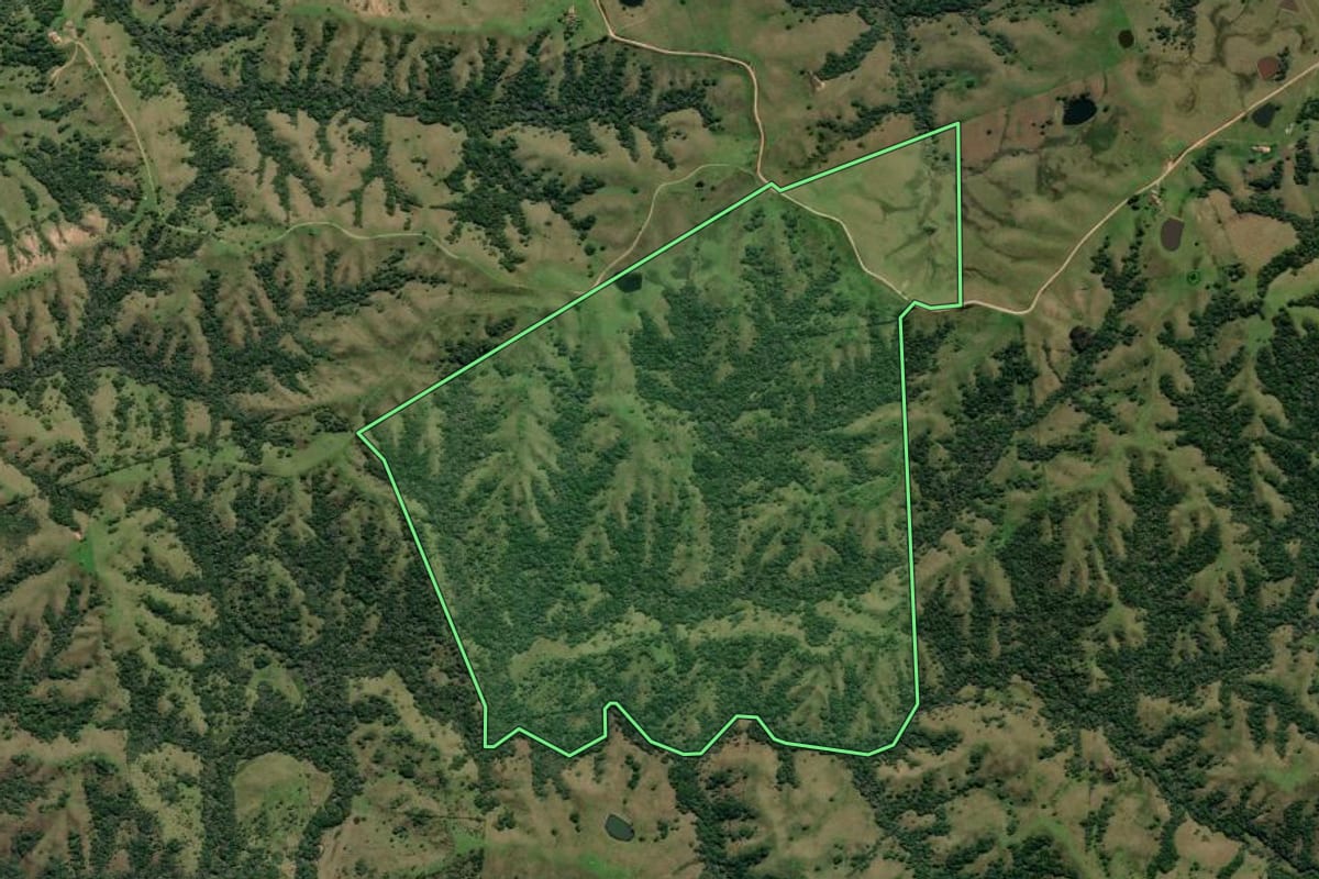 Imagem de satélite do imóvel rural em Canguçu (RS), com o contorno declarado no CAR desenhado por cima.