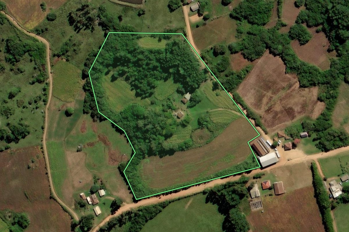 Imagem de satélite do imóvel rural em Canguçu (RS), com o contorno declarado no CAR desenhado por cima.