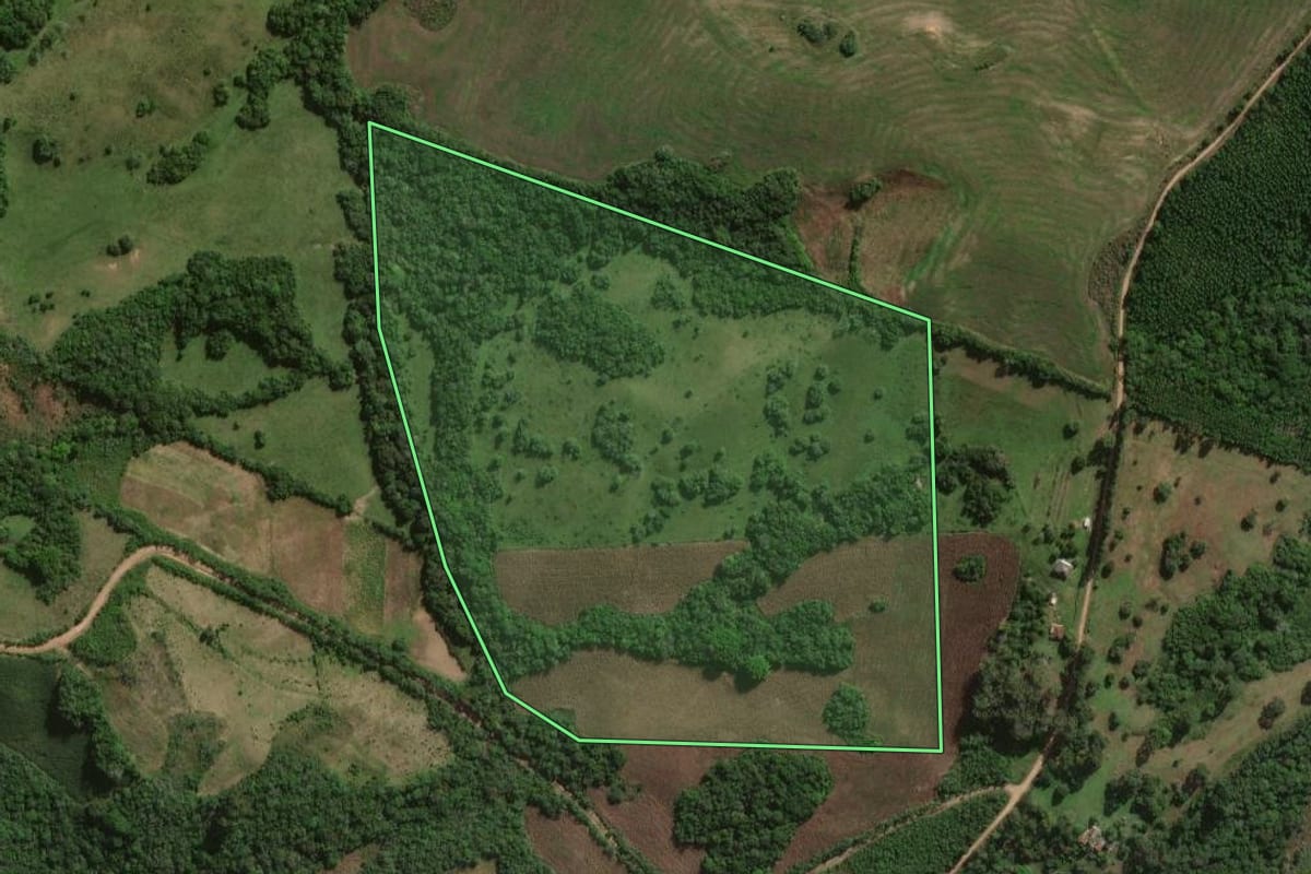 Imagem de satélite do imóvel rural em Canguçu (RS), com o contorno declarado no CAR desenhado por cima.