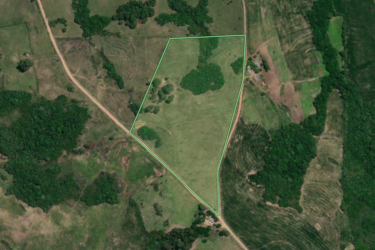 Imagem de satélite do imóvel rural em Canguçu (RS), com o contorno declarado no CAR desenhado por cima.