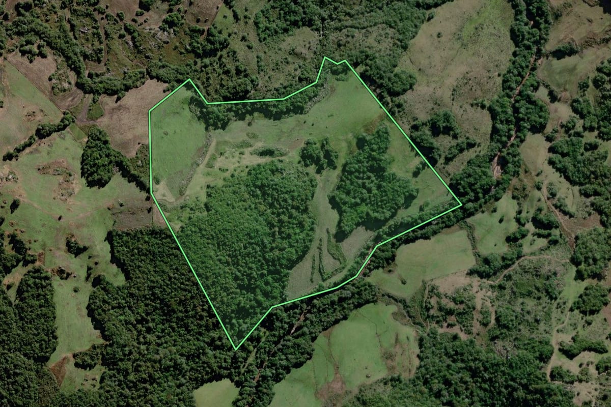 Imagem de satélite do imóvel rural em Canguçu (RS), com o contorno declarado no CAR desenhado por cima.