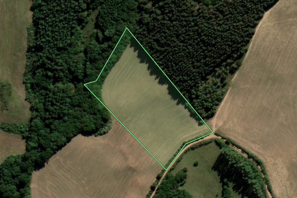 Imagem de satélite do imóvel rural em Canguçu (RS), com o contorno declarado no CAR desenhado por cima.
