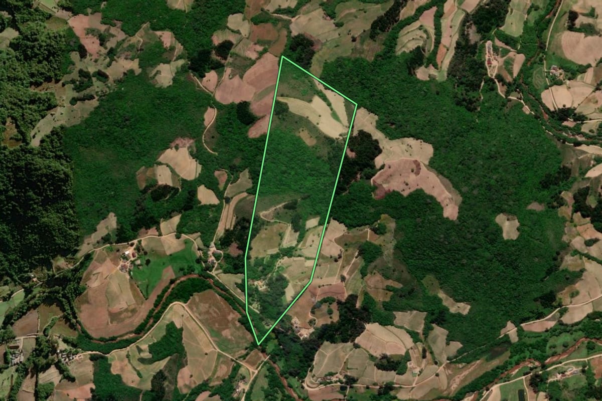 Imagem de satélite do imóvel rural em Canguçu (RS), com o contorno declarado no CAR desenhado por cima.