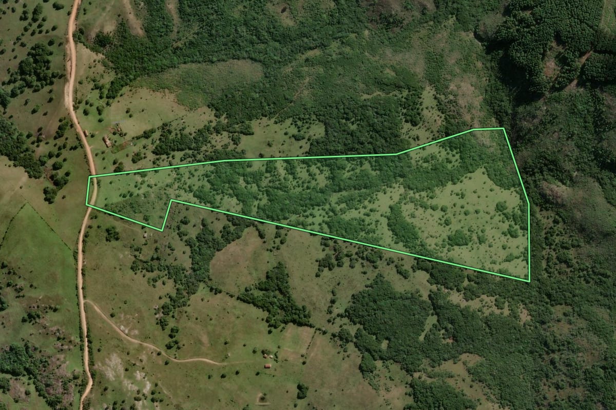 Imagem de satélite do imóvel rural em Canguçu (RS), com o contorno declarado no CAR desenhado por cima.