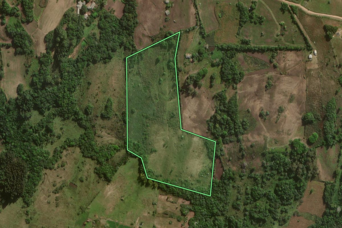 Imagem de satélite do imóvel rural em Canguçu (RS), com o contorno declarado no CAR desenhado por cima.