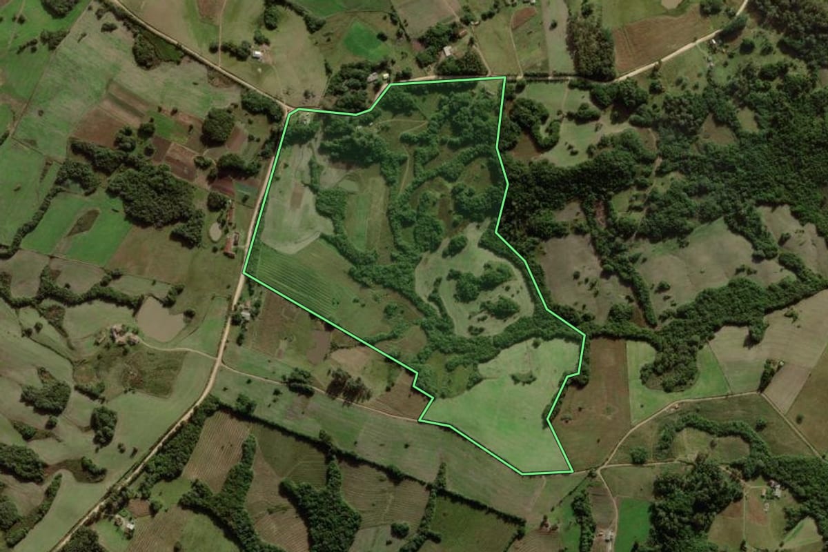 Imagem de satélite do imóvel rural em Canguçu (RS), com o contorno declarado no CAR desenhado por cima.