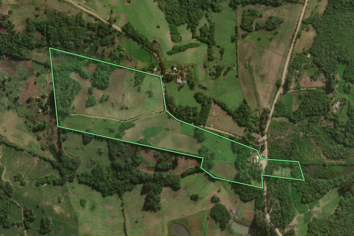 Imagem de satélite do imóvel rural em Canguçu (RS), com o contorno declarado no CAR desenhado por cima.