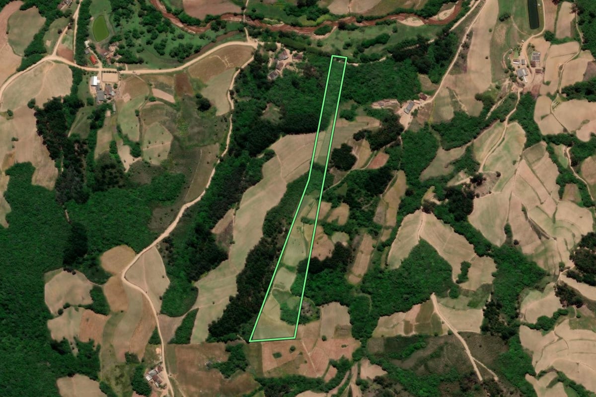 Imagem de satélite do imóvel rural em Canguçu (RS), com o contorno declarado no CAR desenhado por cima.