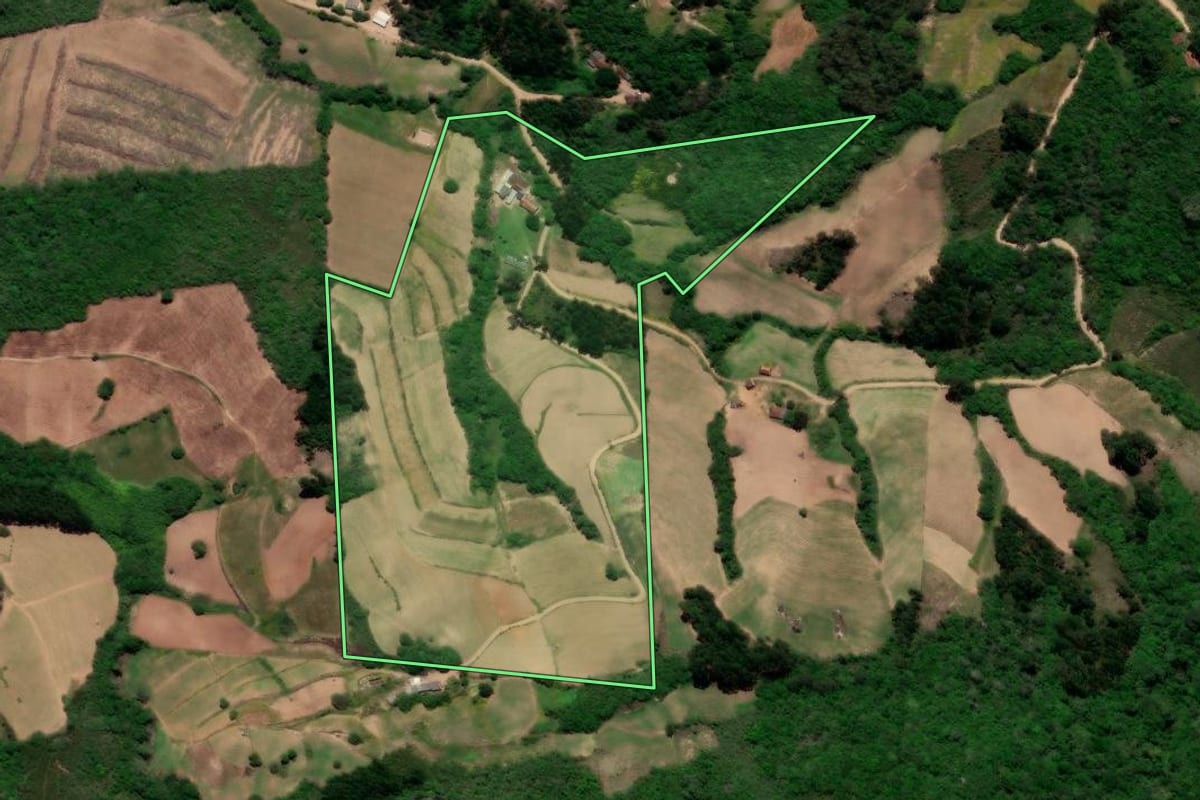 Imagem de satélite do imóvel rural em Canguçu (RS), com o contorno declarado no CAR desenhado por cima.
