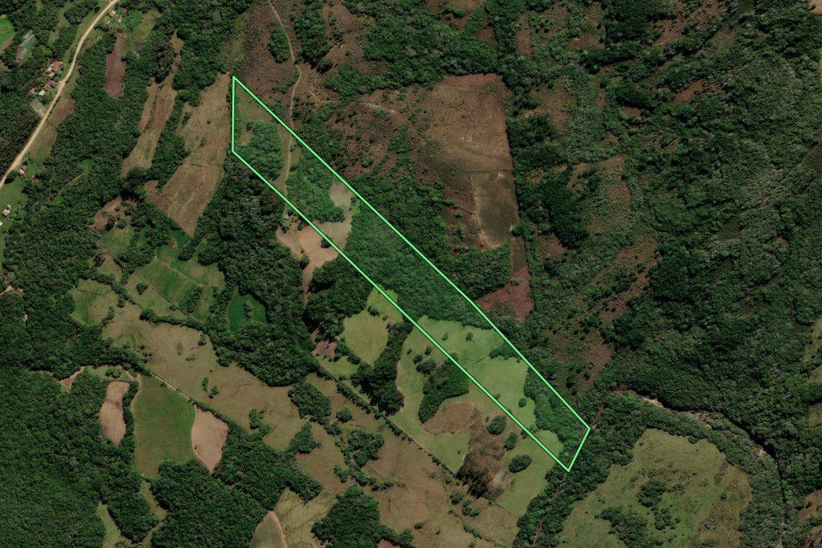 Imagem de satélite do imóvel rural em Canguçu (RS), com o contorno declarado no CAR desenhado por cima.