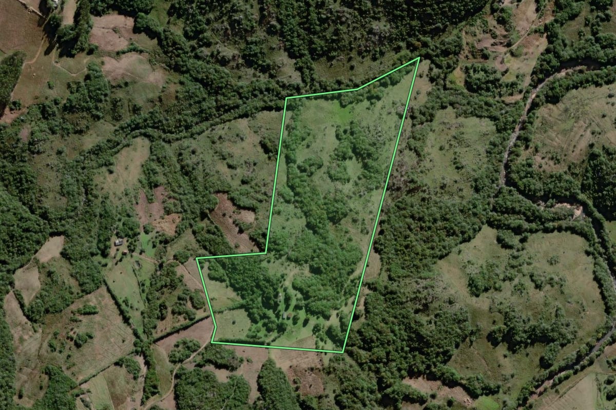 Imagem de satélite do imóvel rural em Canguçu (RS), com o contorno declarado no CAR desenhado por cima.