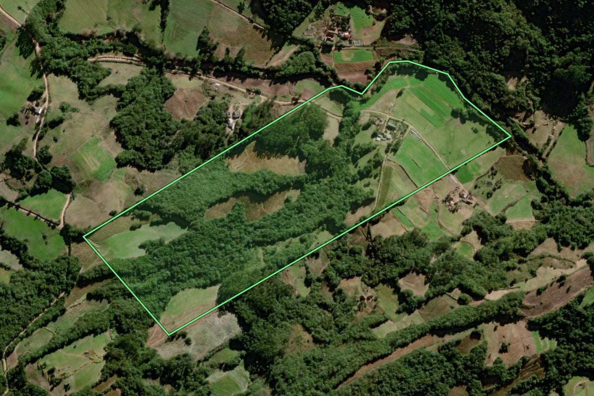 Imagem de satélite do imóvel rural em Canguçu (RS), com o contorno declarado no CAR desenhado por cima.