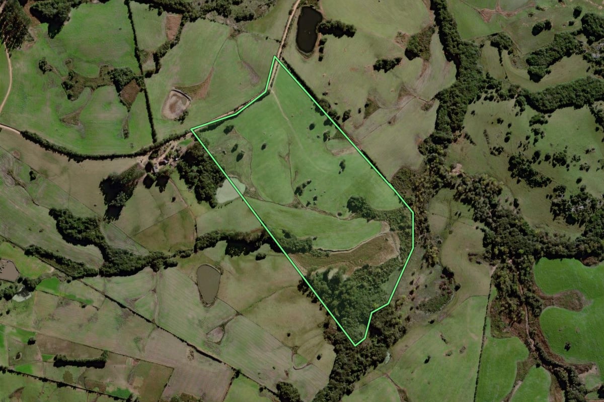 Imagem de satélite do imóvel rural em Canguçu (RS), com o contorno declarado no CAR desenhado por cima.