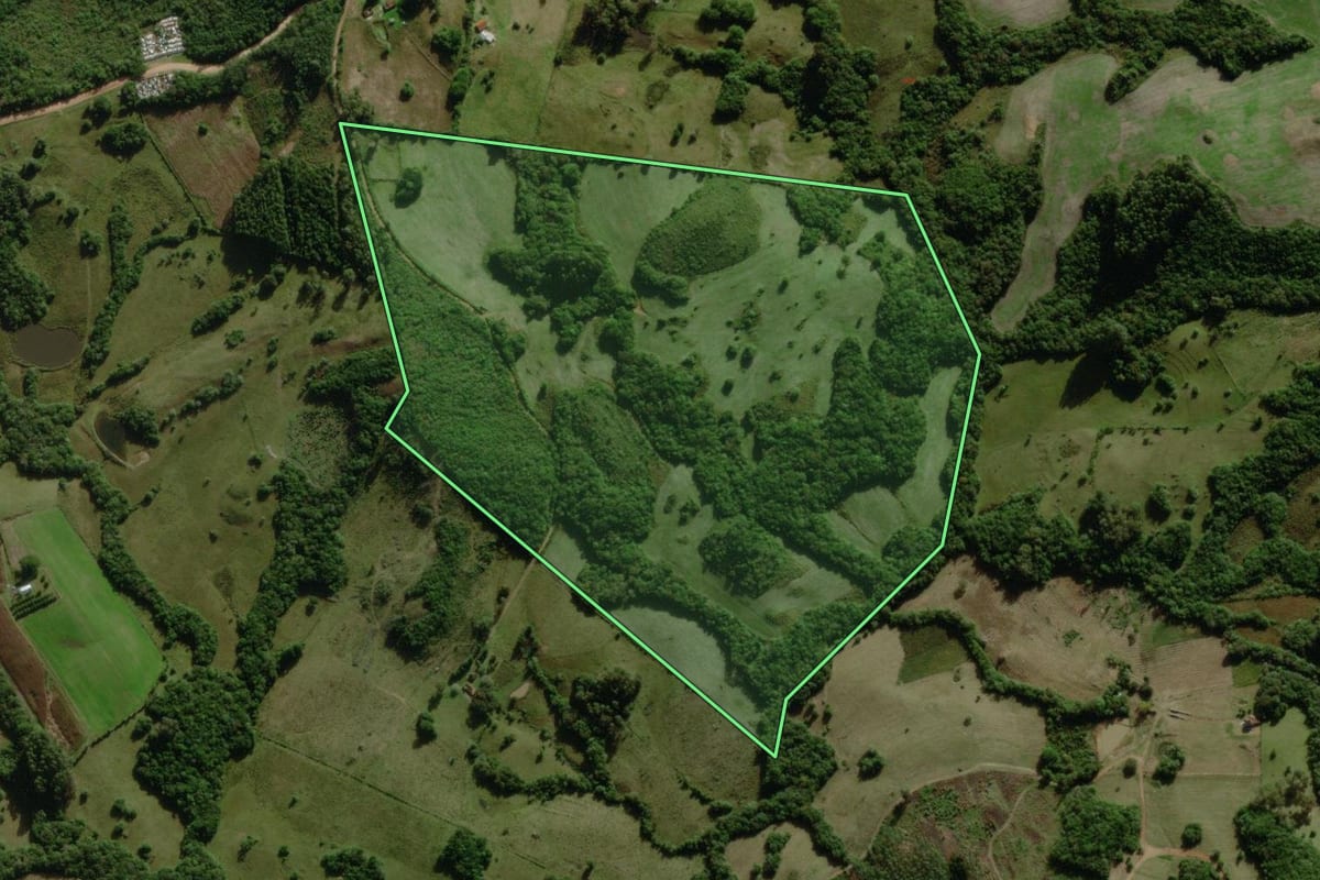 Imagem de satélite do imóvel rural em Canguçu (RS), com o contorno declarado no CAR desenhado por cima.