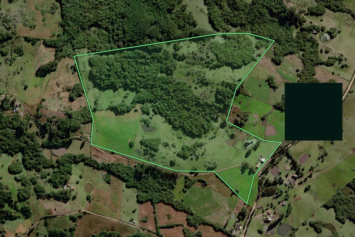 Imagem de satélite do imóvel rural em Canguçu (RS), com o contorno declarado no CAR desenhado por cima.
