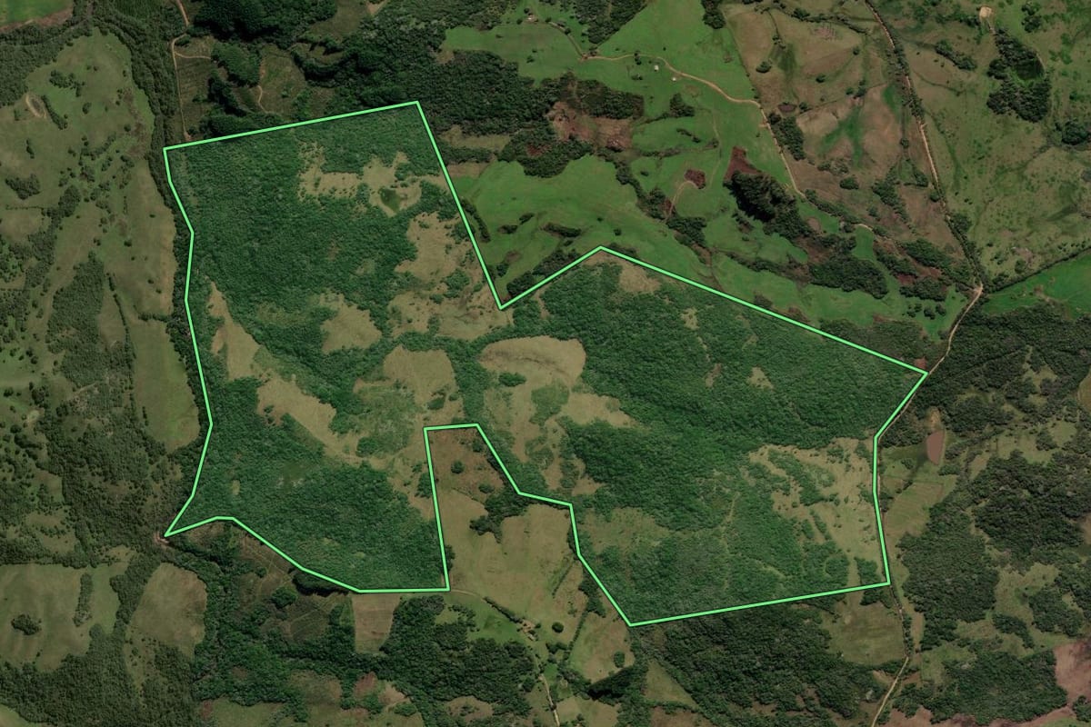 Imagem de satélite do imóvel rural em Canguçu (RS), com o contorno declarado no CAR desenhado por cima.