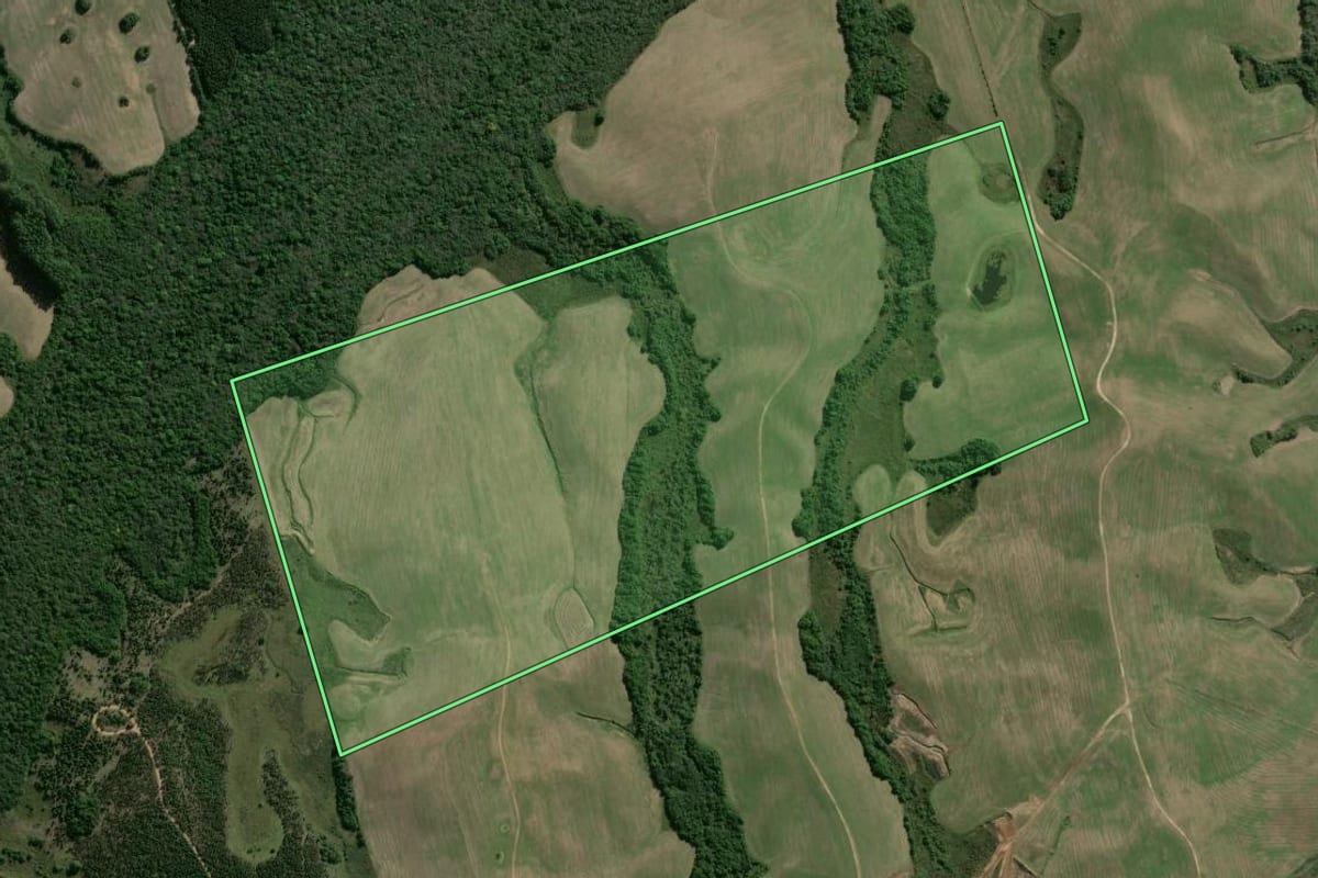 Imagem de satélite do imóvel rural em Canguçu (RS), com o contorno declarado no CAR desenhado por cima.