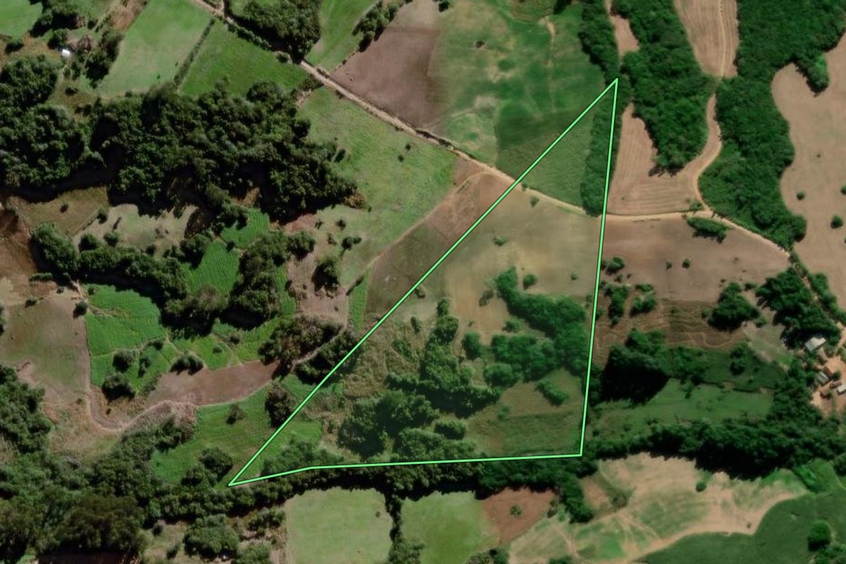 Imagem de satélite do imóvel rural em Canguçu (RS), com o contorno declarado no CAR desenhado por cima.