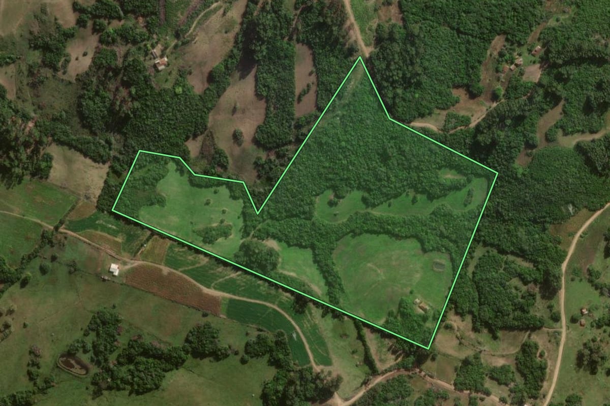 Imagem de satélite do imóvel rural em Canguçu (RS), com o contorno declarado no CAR desenhado por cima.