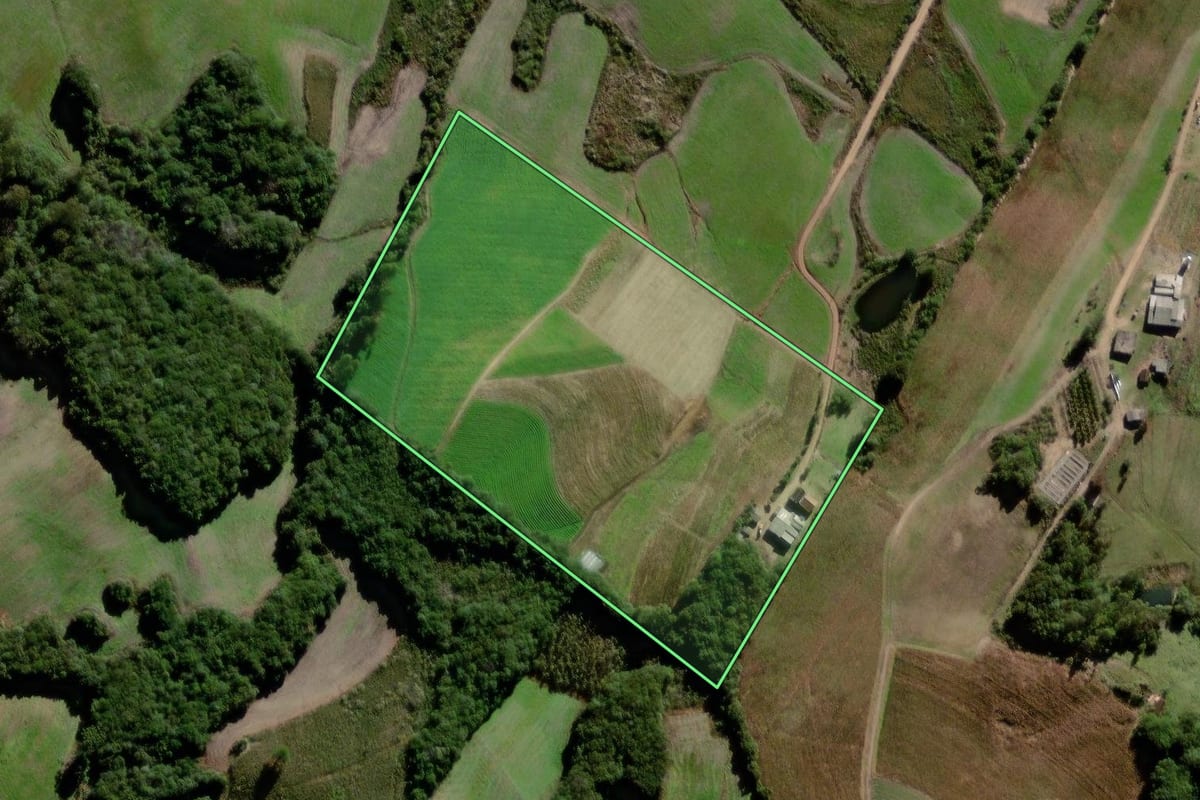 Imagem de satélite do imóvel rural em Canguçu (RS), com o contorno declarado no CAR desenhado por cima.