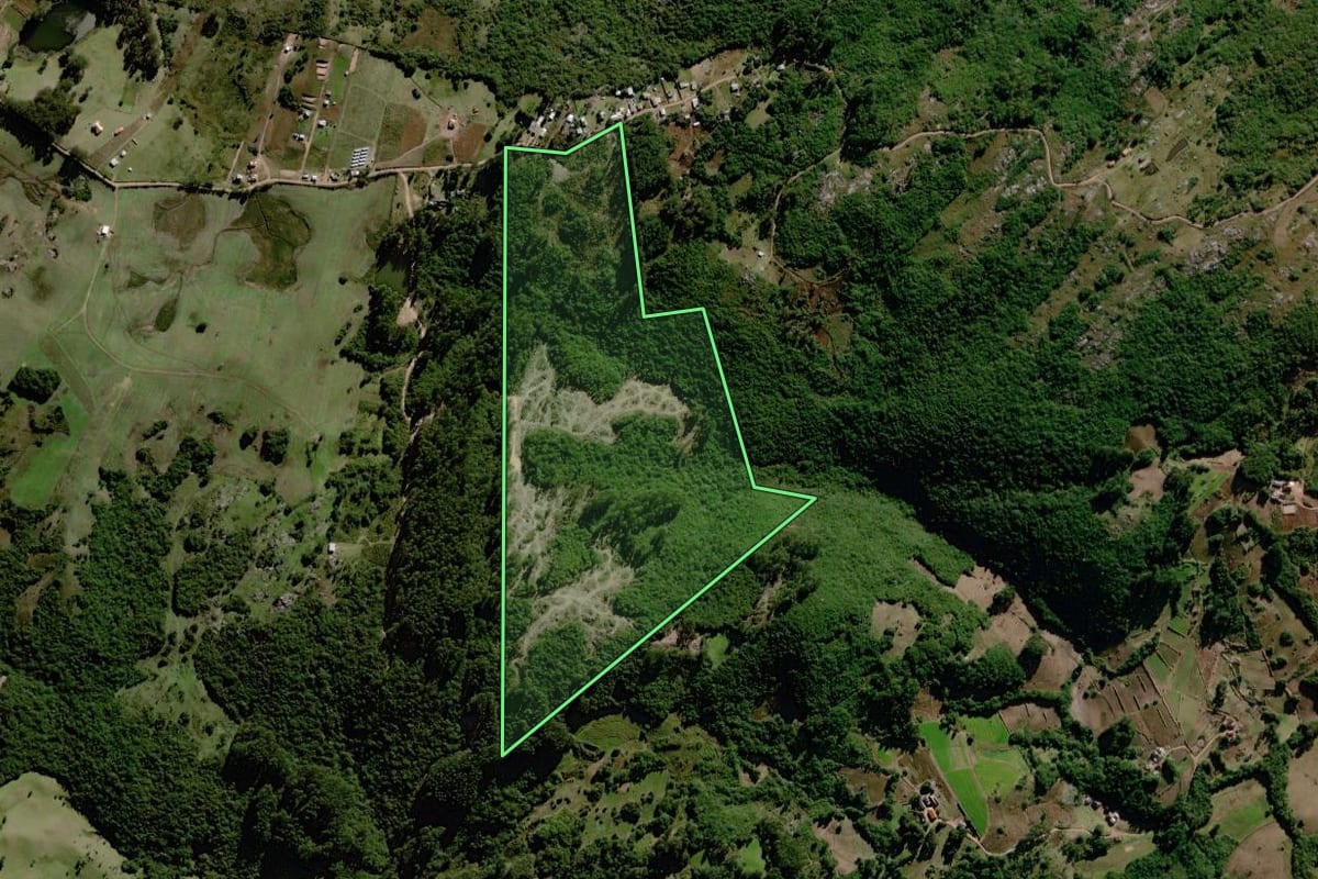Imagem de satélite do imóvel rural em Canguçu (RS), com o contorno declarado no CAR desenhado por cima.
