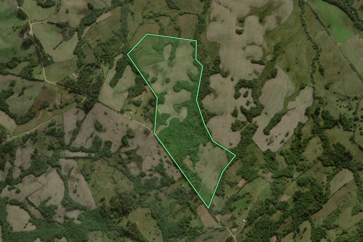 Imagem de satélite do imóvel rural em Canguçu (RS), com o contorno declarado no CAR desenhado por cima.