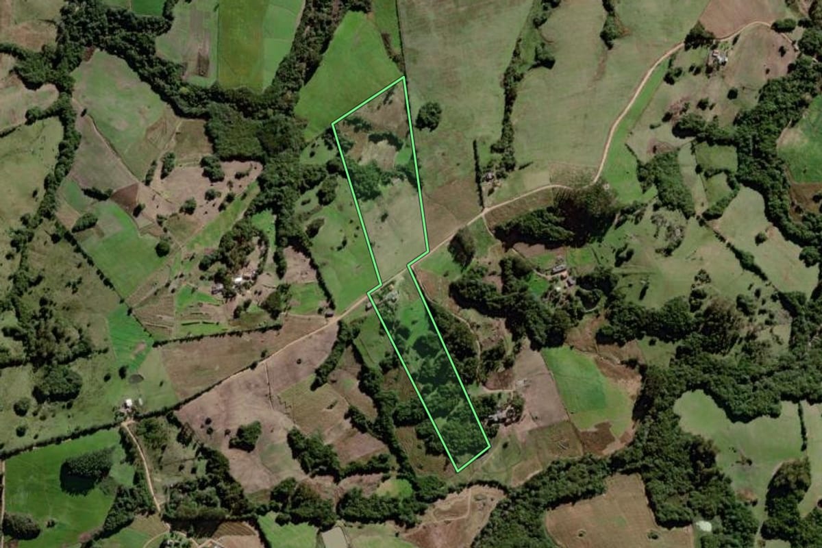 Imagem de satélite do imóvel rural em Canguçu (RS), com o contorno declarado no CAR desenhado por cima.