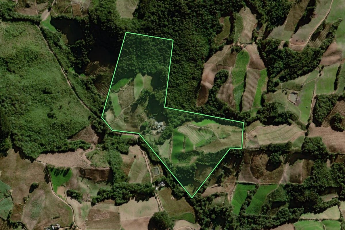 Imagem de satélite do imóvel rural em Canguçu (RS), com o contorno declarado no CAR desenhado por cima.