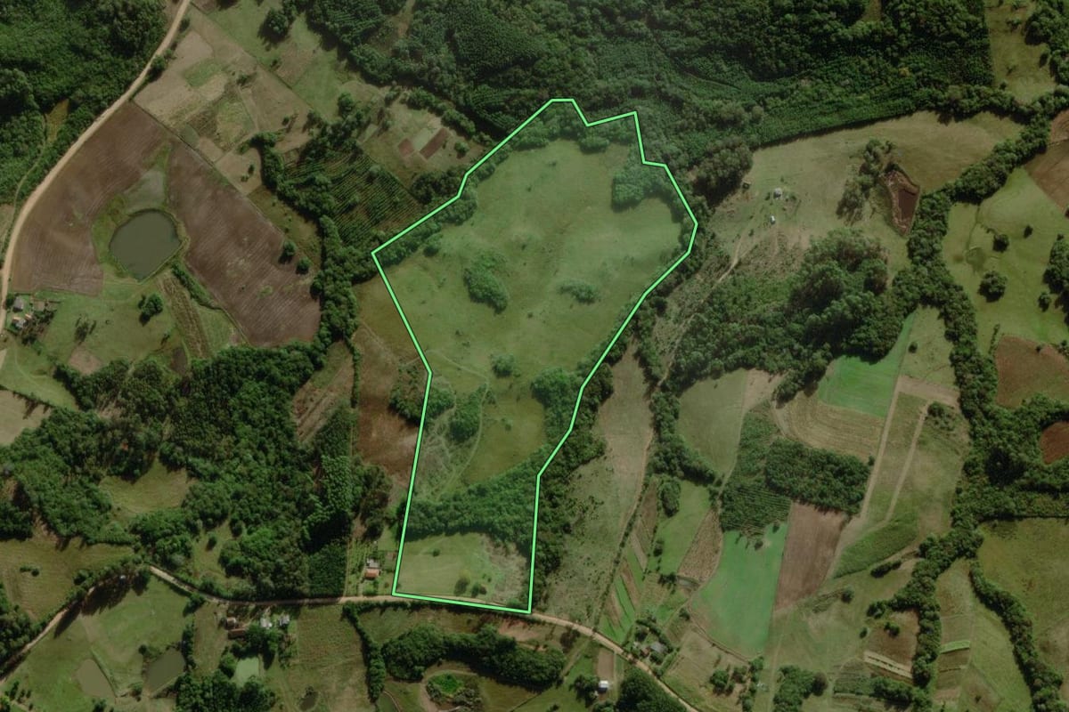 Imagem de satélite do imóvel rural em Canguçu (RS), com o contorno declarado no CAR desenhado por cima.