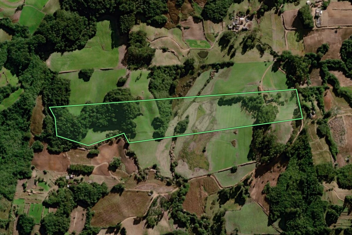 Imagem de satélite do imóvel rural em Canguçu (RS), com o contorno declarado no CAR desenhado por cima.