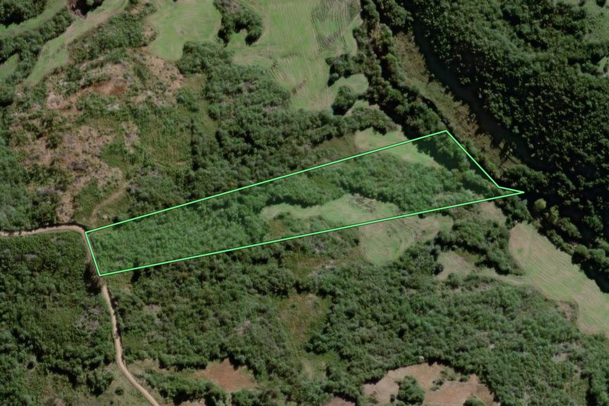 Imagem de satélite do imóvel rural em Canguçu (RS), com o contorno declarado no CAR desenhado por cima.