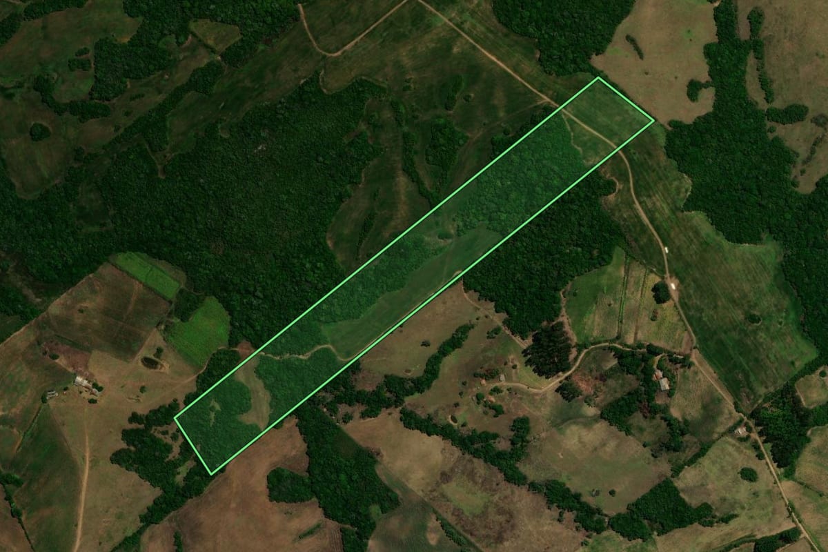Imagem de satélite do imóvel rural em Canguçu (RS), com o contorno declarado no CAR desenhado por cima.