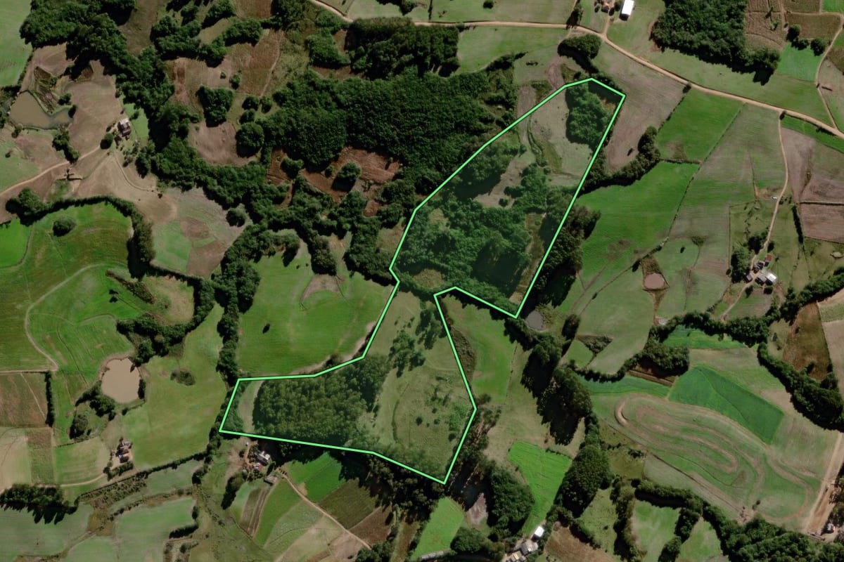 Imagem de satélite do imóvel rural em Canguçu (RS), com o contorno declarado no CAR desenhado por cima.