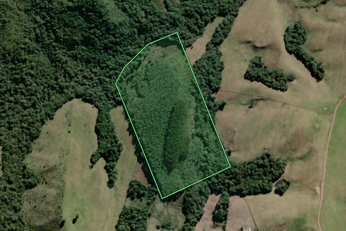 Imagem de satélite do imóvel rural em Canguçu (RS), com o contorno declarado no CAR desenhado por cima.